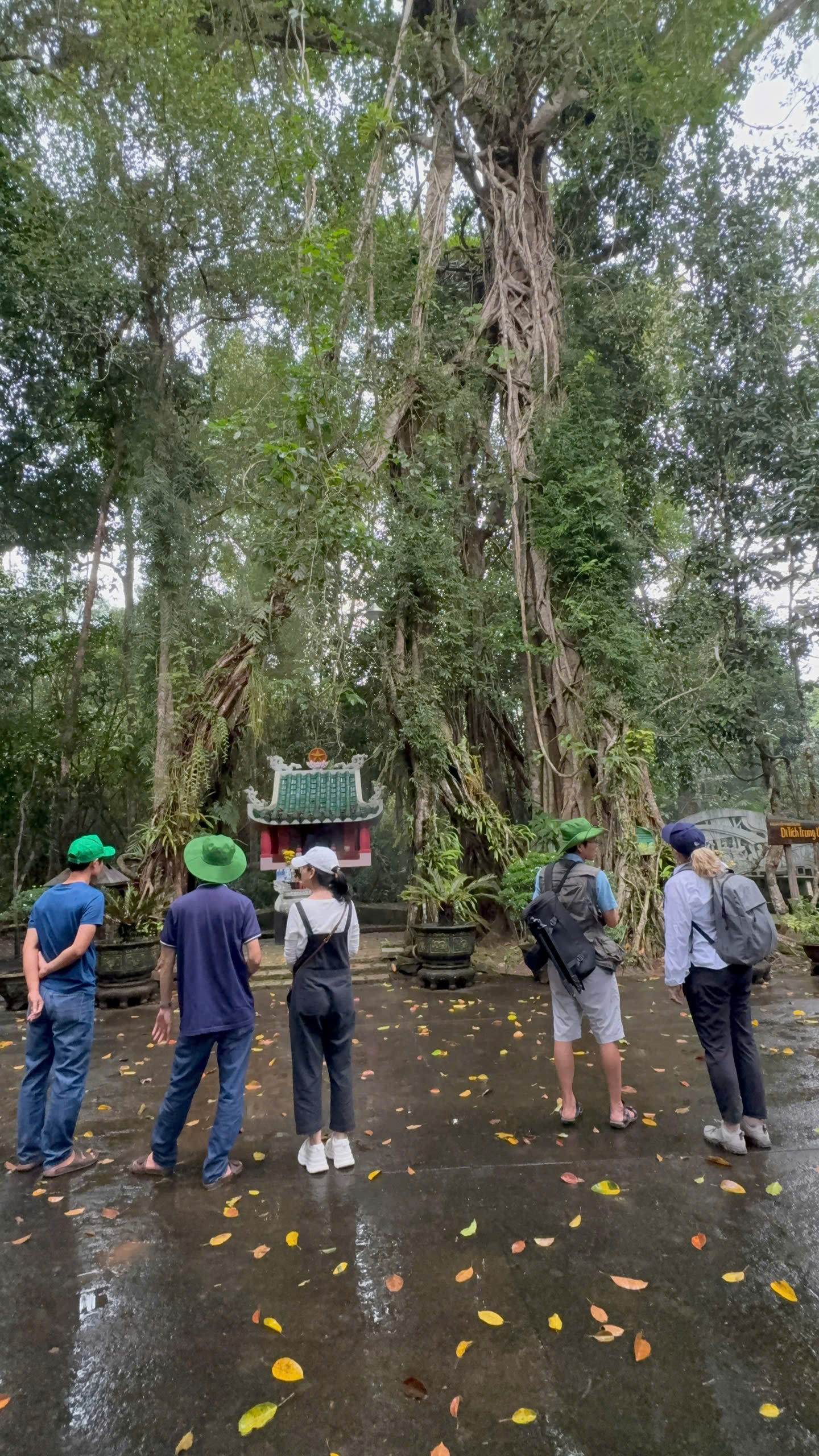 Fostering Forest Conservation through Sustainable Ecotourism Development