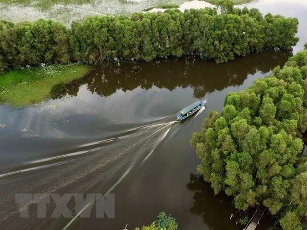 Phê duyệt Đề án Bảo vệ và phát triển rừng vùng ven biển giai đoạn 2021-2030