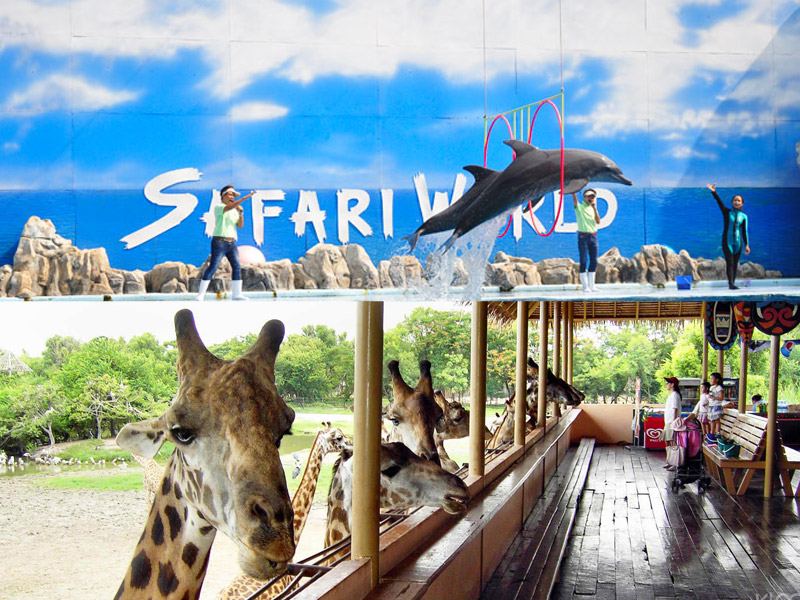 Safari World Thái Lan