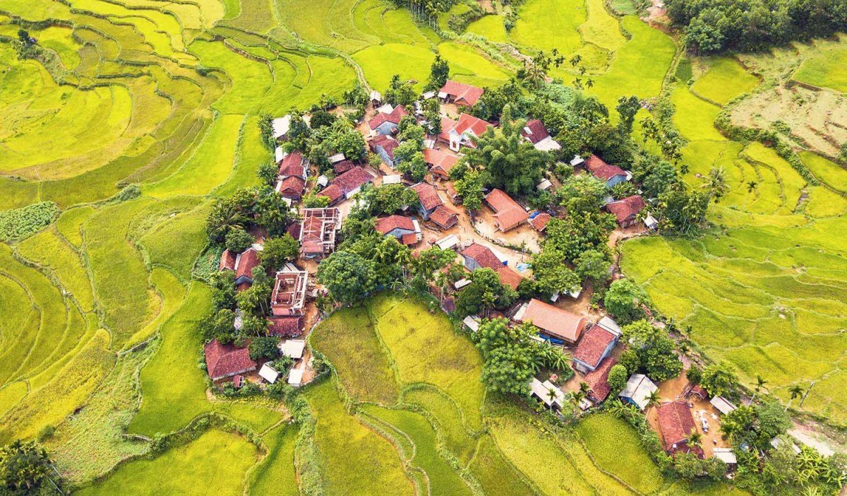 Tuổi thơ, mùa bão lụt và quê hương thương khó
