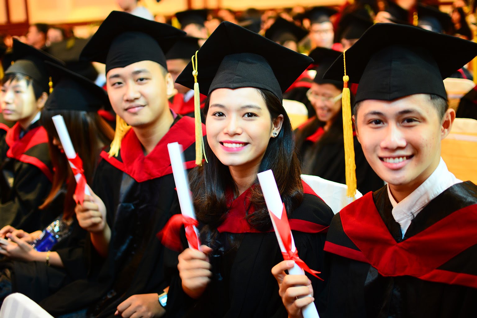 Quy định về chuẩn chương trình đào tạo các trình độ của giáo dục đại học