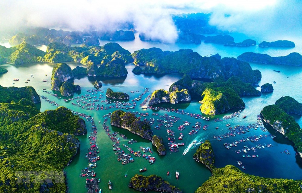 Một số nhiệm vụ trọng tâm phát triển hệ thống khu bảo tồn biển giai đoạn 2021-2030