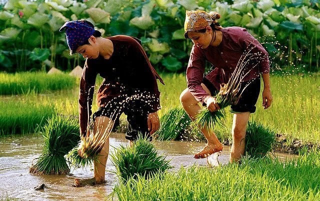Tự thanh lý những ảo tưởng