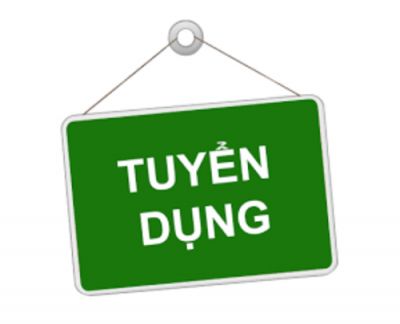 Công ty TNHH TMDV Truyền thông Đồi Xanh tuyển dụng chuyên viên phân tích, viết báo cáo