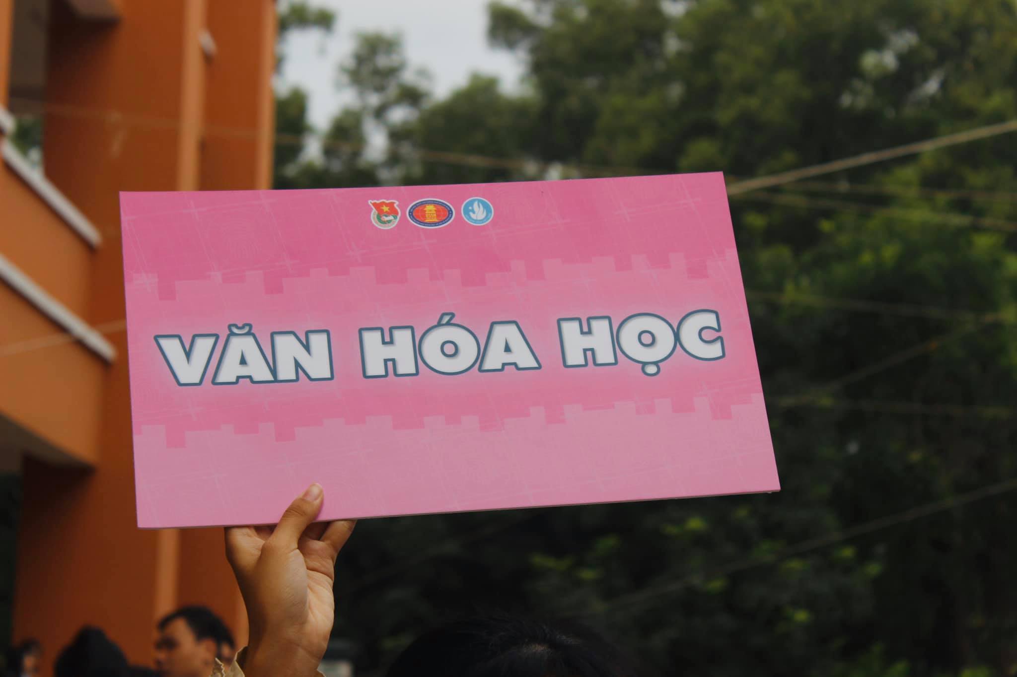 Review ngành Văn hóa học: Đừng quên ngành này cũng có thể học về Du lịch và Truyền thông