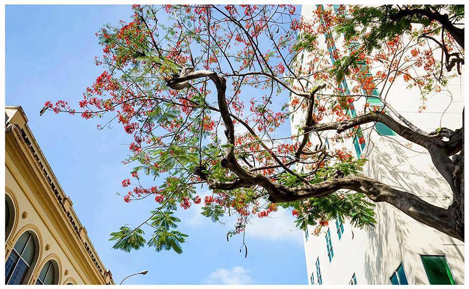 Thông báo về việc cung cấp số tài khoản ngân hàng nhận học bổng Tiếp sức giảng đường năm học 2021-2022