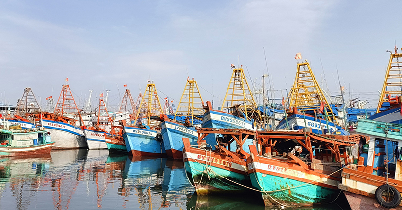 Phát triển Vũng Tàu thành trung tâm nghề cá