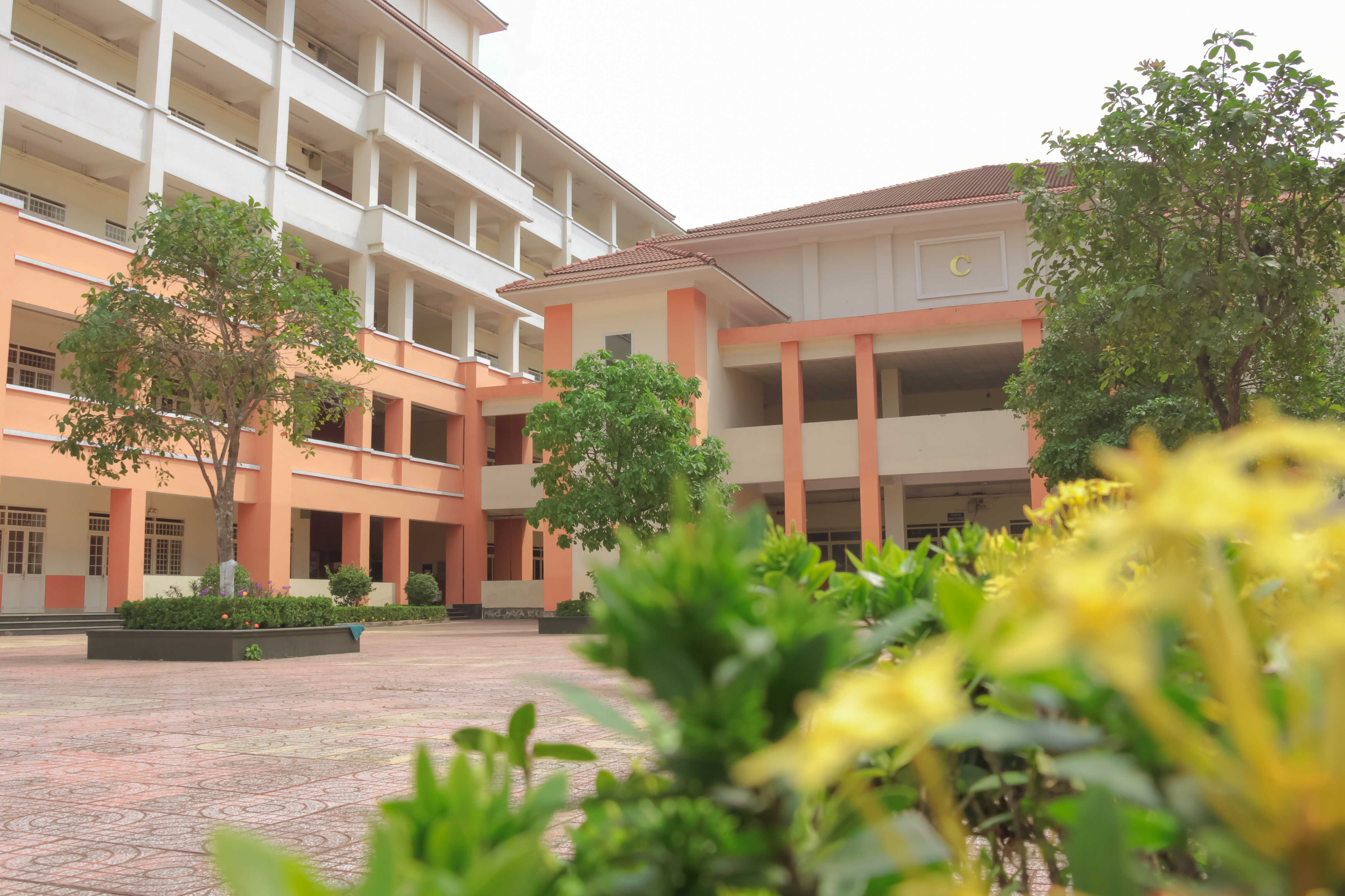 Tuyển sinh trình độ Đại học - hệ Liên thông đợt 1 năm 2022