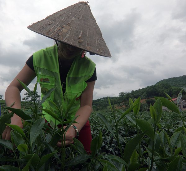 Làng thí điểm nông thôn mới Saemaul xóm Phú Nam 1, xã Phú Đô, huyện Phú Lương, Thái Nguyên