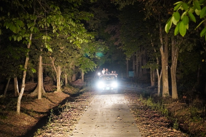 Night Safari – Hành trình khám phá thế giới hoang dã về đêm tại Vườn Quốc gia Cát Tiên