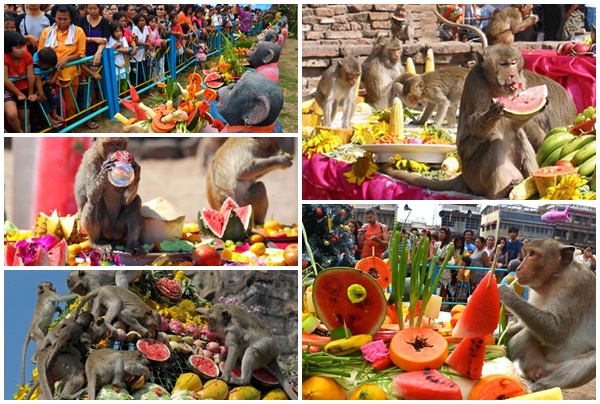 Lễ hội tiệc khỉ Lopburi