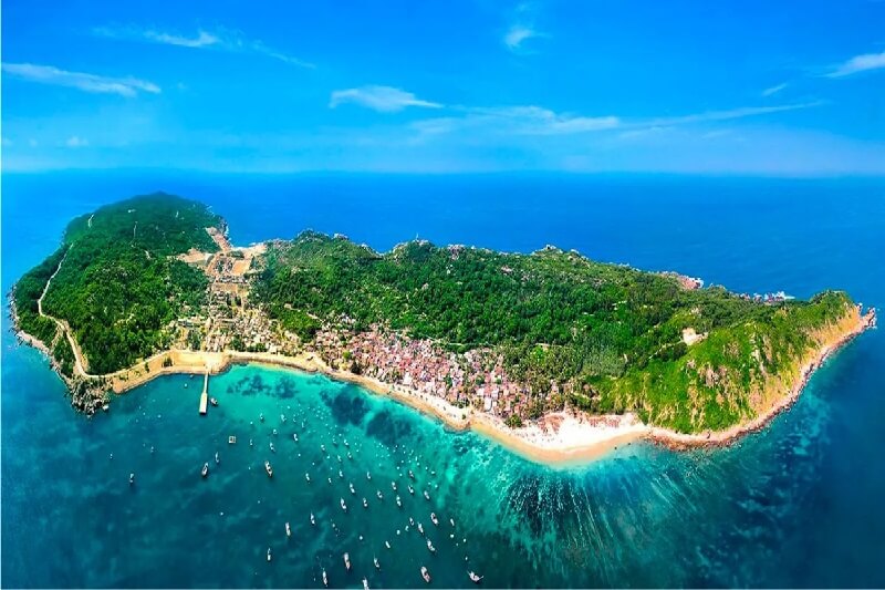 Cù Lao Chàm: hệ sinh thái cỏ biển