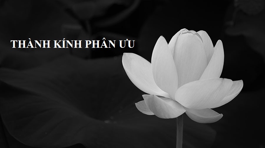 Thành kính phân ưu cùng TS. Đinh Lư Giang và gia đình
