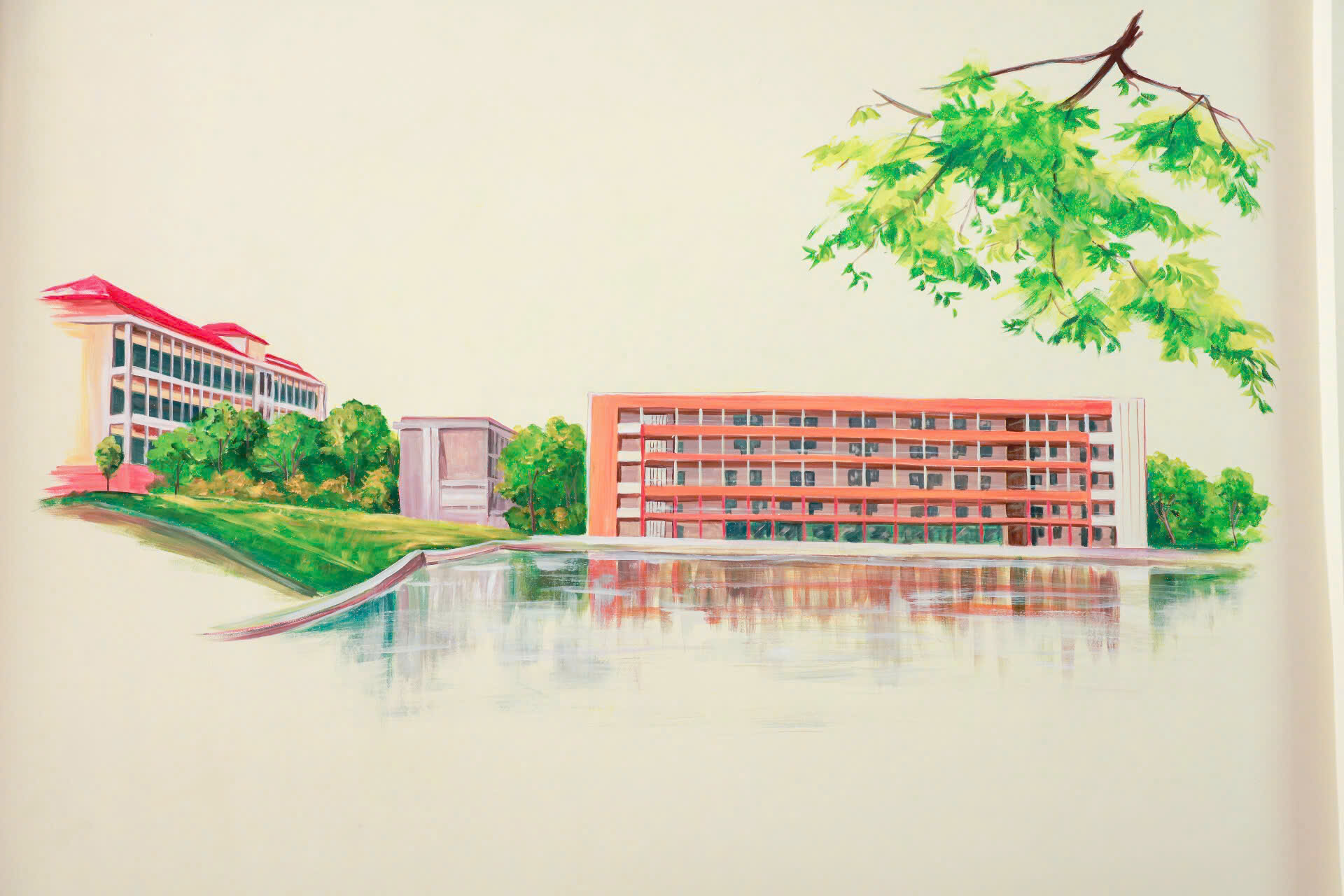 Thông tin tuyển sinh đại học chính quy dự kiến năm 2026