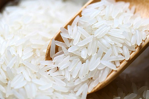 Lúa gạo Việt - Không chỉ là hạt gạo, mà là ký ức của một dân tộc
