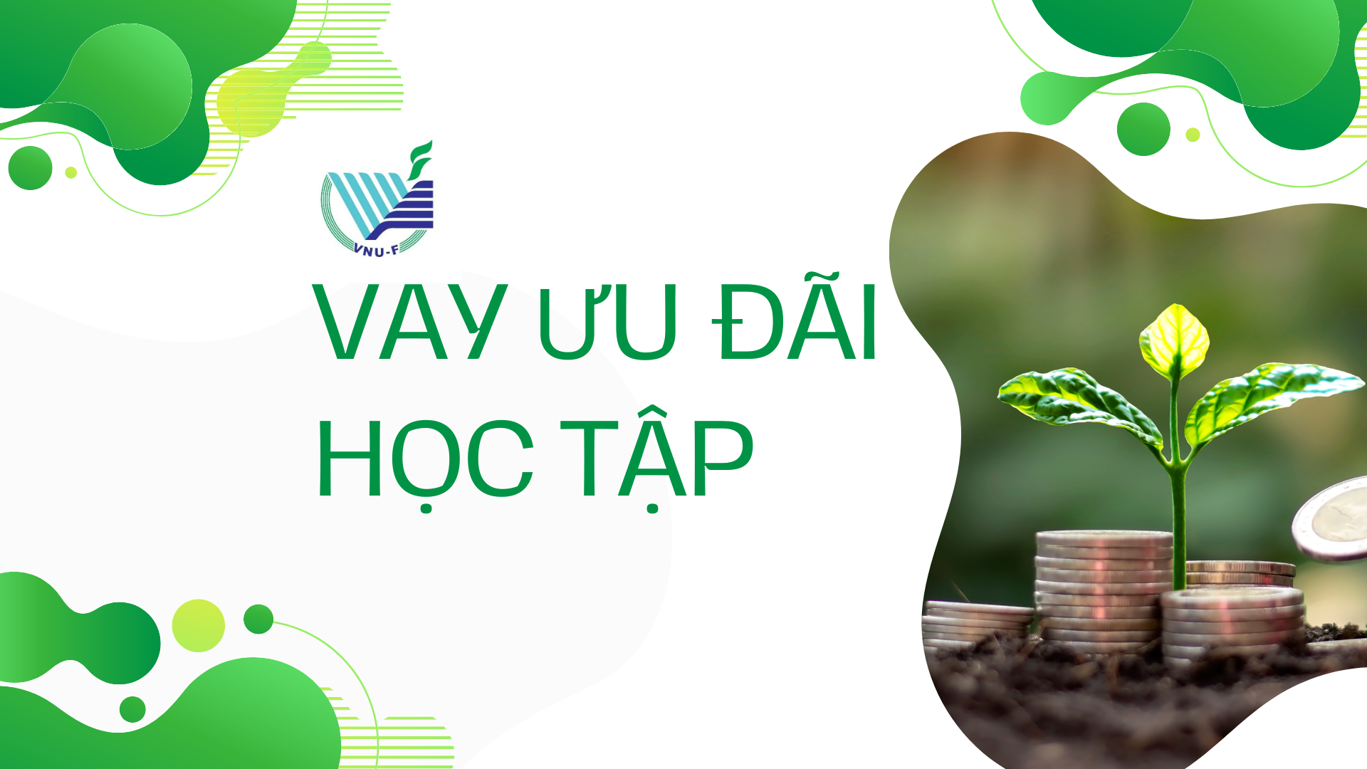 Quyết định và kết quả phê duyệt của Quỹ phát triển về việc cho sinh viên vay vốn theo Chương trình sinh viên vay ưu đãi học tập tại ĐHQG-HCM từ năm học 2023-2024