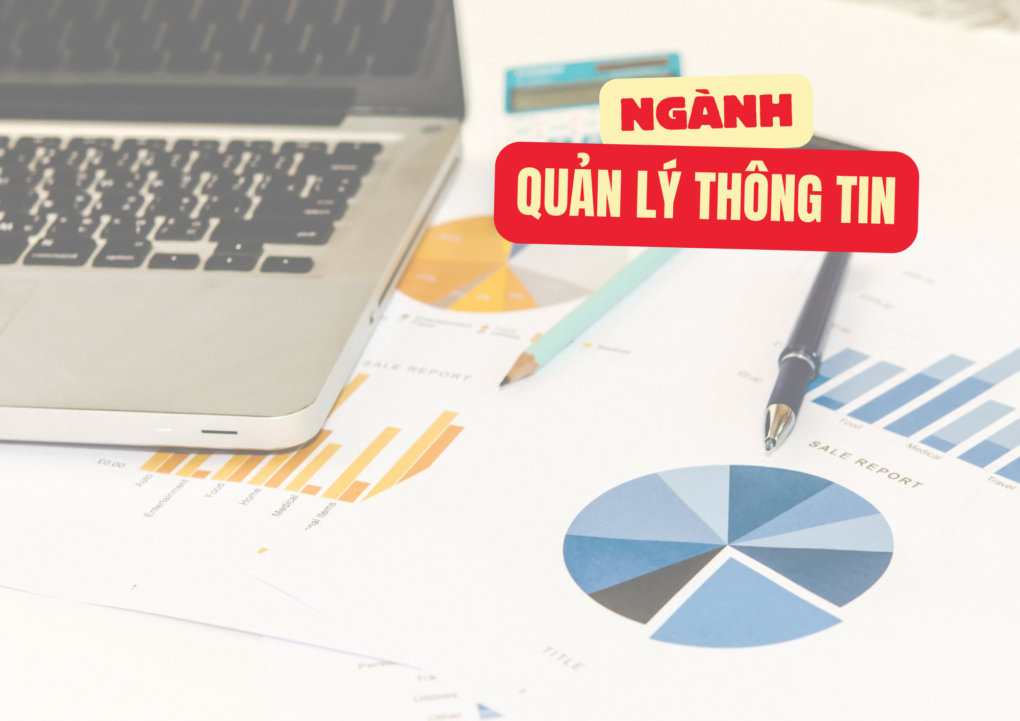 Quản lý Thông tin: Thông tin về ngành học và cơ hội việc làm