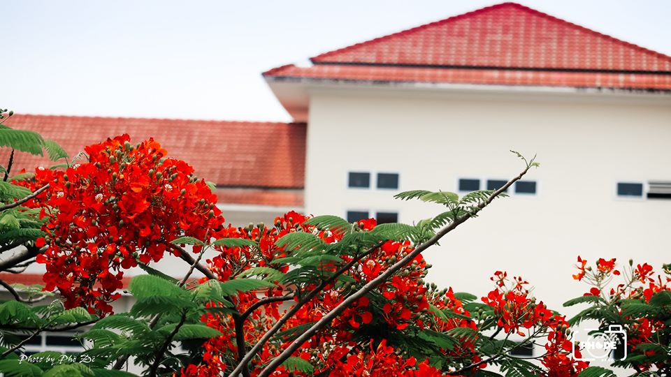 Thay đổi hình thức và gia hạn thời gian nhận hồ sơ xét tuyển đại học chính quy năm 2021 đối với các phương thức 1.2, 2, 5.1 và 5.2