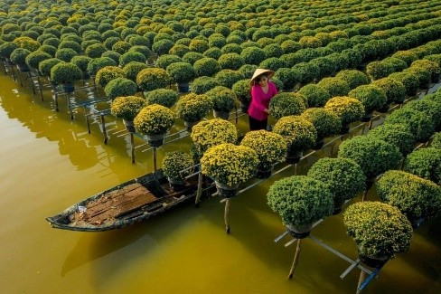 Vườn Hồng Tư Tôn
