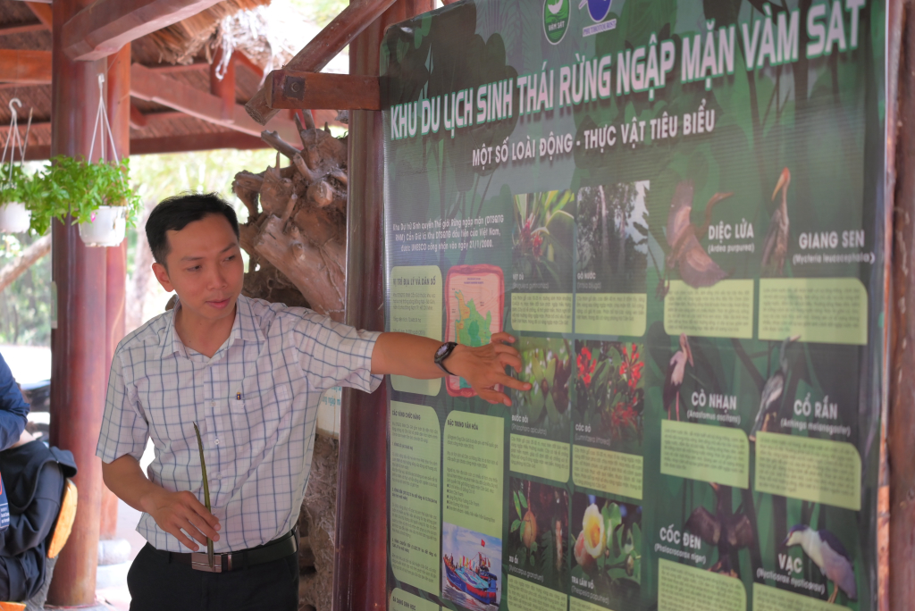 ThS. Trần Duy Minh cho biết rừng ngập mặn Cần Giờ đóng vai trò như “lá phổi xanh” của TP.HCM - Ảnh: Ý NGUYỄN