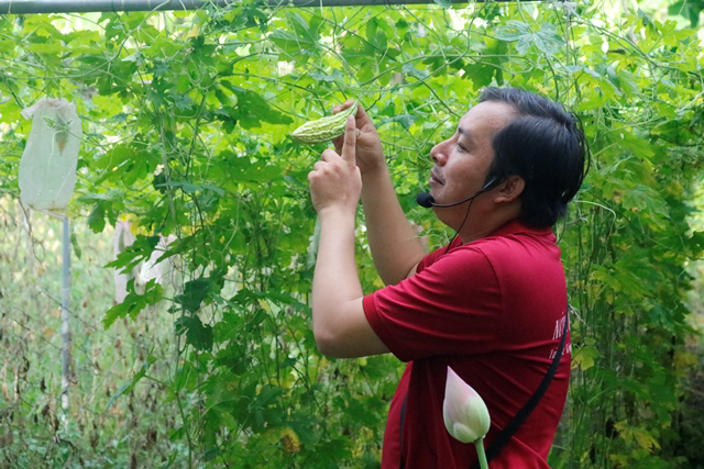 Sinh viên được tham quan và nghe thuyết minh trực tiếp tại nông trại 